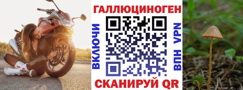 Галлюциногенные грибы Magic Shrooms  купить  сайты  Темников 